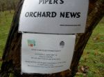 Over 50 people worked, sang, danced and celebrated our historic&nbsp;orchard.