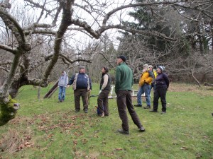 Bob discusses winter pruning with some of the volunteers.
