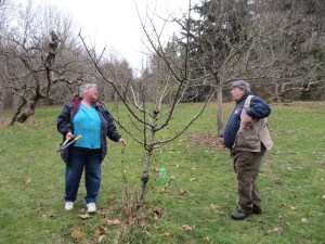 Wilma and Bob review the pruning job.