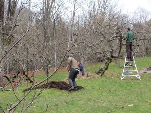 Pruning and mulching.