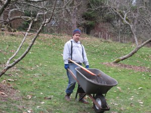 Ready for another load of mulch.