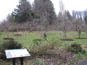 Check out the improved visibility of the orchard from the information sign.