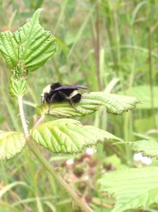 01a206055ff71525723ddbe38cf392ecae358b8c26